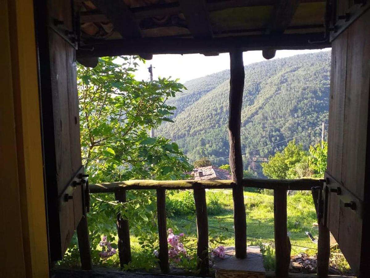 Casa Dos Livros Villa Таласнал Екстериор снимка